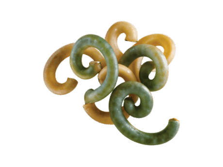 Gramigna Paglia E Erba