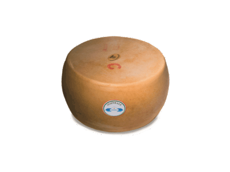 Hard and Seasoned Cheese